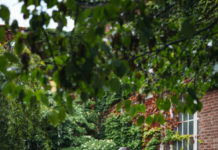 Helpful Wedding Planners in Washtenaw County