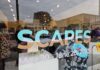 Scapes will be at the Gutman until June 28, 2025. Photo by Drew Saunders.