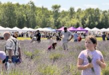 Michigan Grown and Made at Lavender Lane