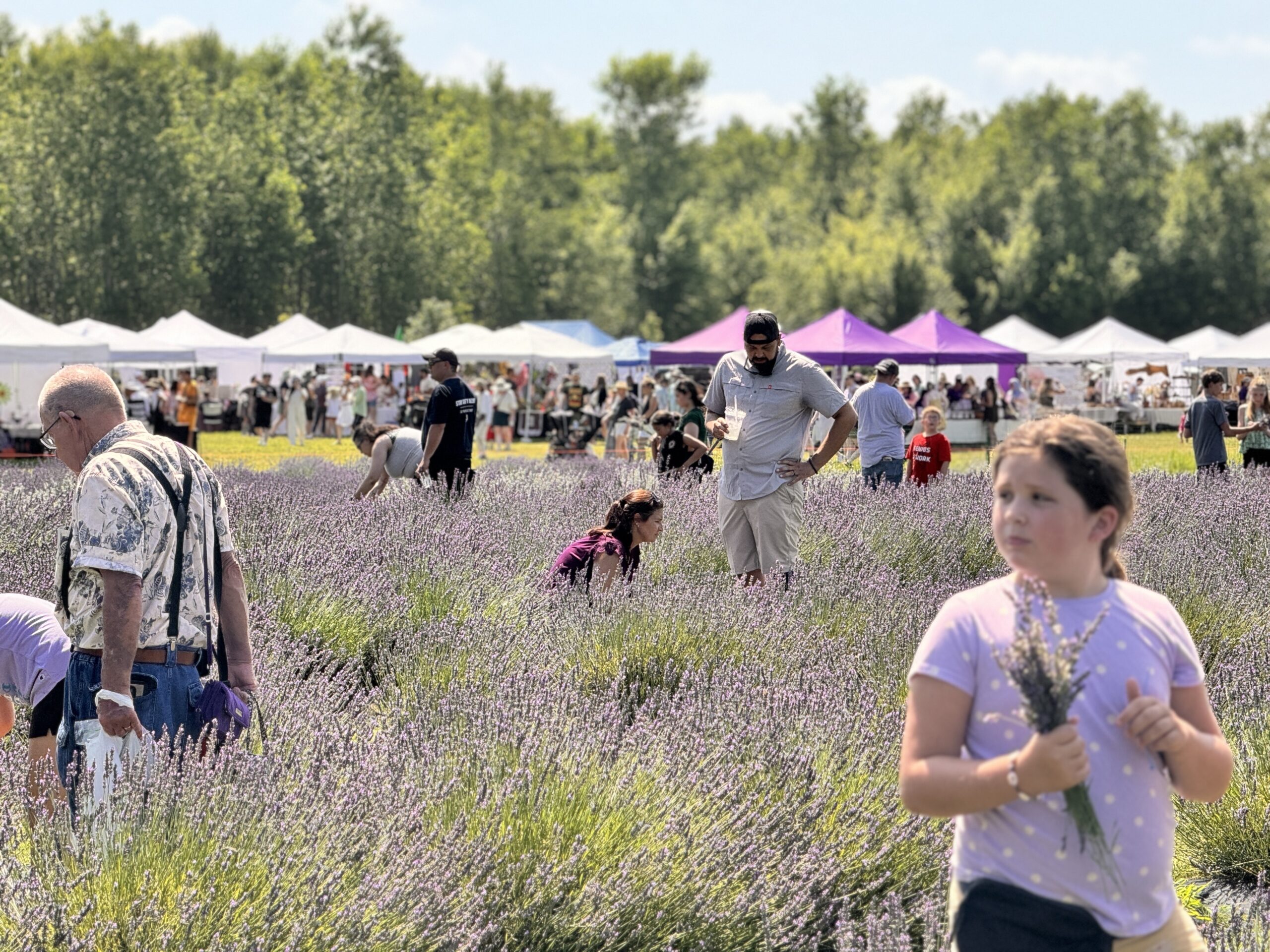 Michigan Grown and Made at Lavender Lane