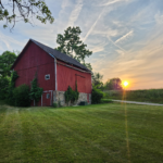 Social Vines: From Vine to Glass in Dexter