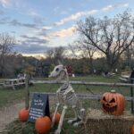 The Boro: Wood-Fired Pizza and Kid-Approved Fun