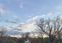 The Boro: Wood-Fired Pizza and Kid-Approved Fun