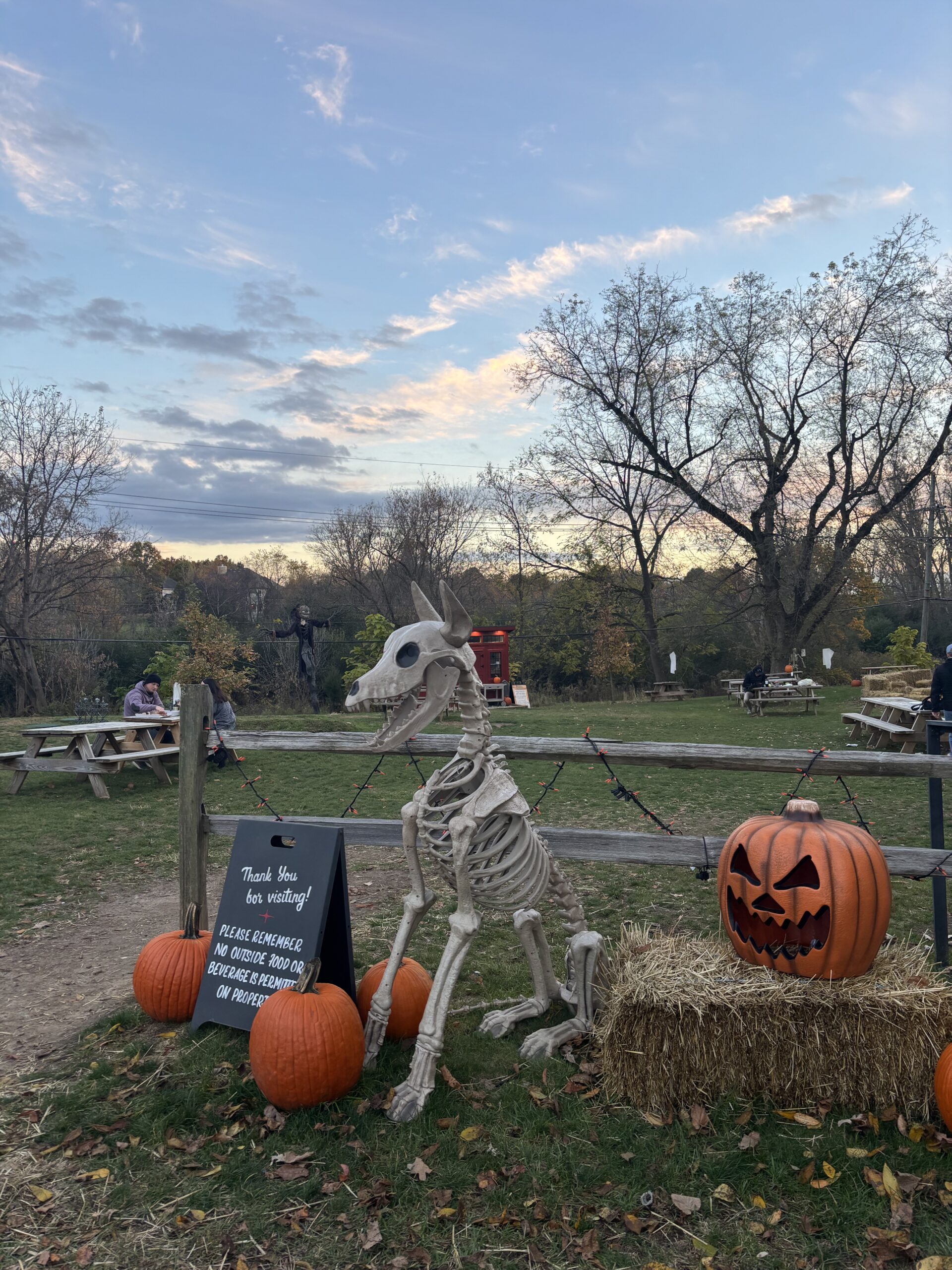 The Boro: Wood-Fired Pizza and Kid-Approved Fun