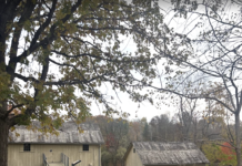 10 Spots in Ann Arbor for History Buffs to Visit