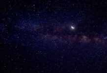 Free Will Astrology November 2025