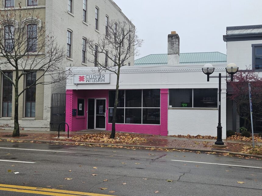 CLUSTER Museum Strives to Keep Ann Arbor’s Weird, Quirky and Indie Spirit Vibrant