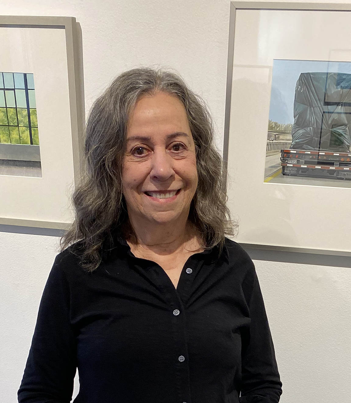 Jaye Schlesinger Discusses “Points of View,” Her New Exhibit at Washington Street Gallery