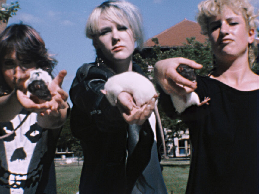 From Punk to the Smithsonian: The Enduring Magic of “Skate Witches”