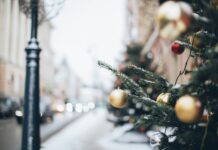 Explore Holiday Markets Around the Ann Arbor Area