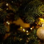 Local Ways to Lift Your Spirits This Holiday Season