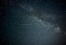 February 2026’s Free Will Astrology